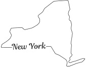 New York Sellos Especiales y Focas